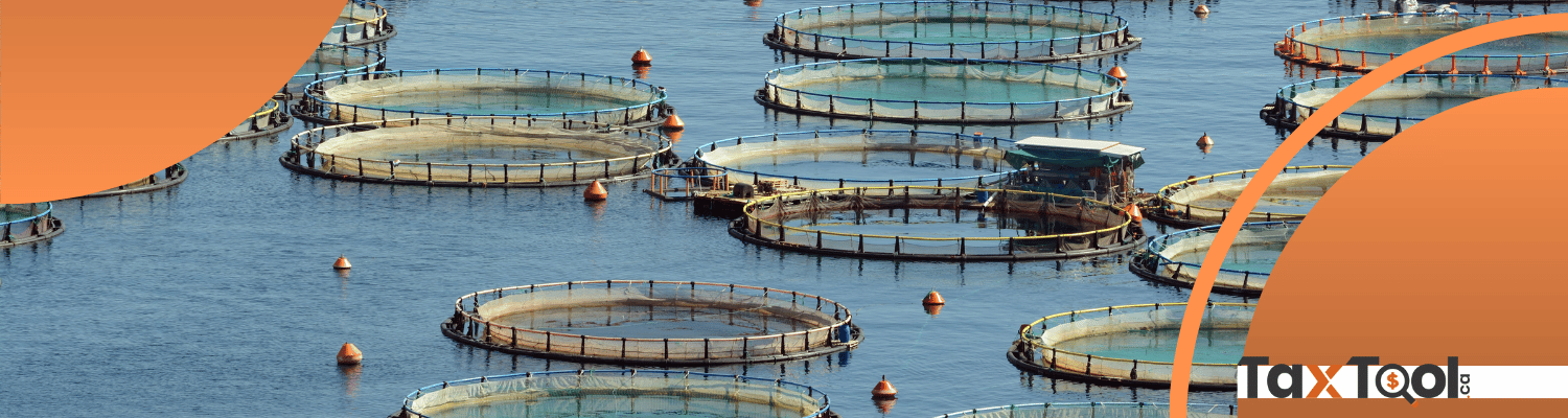 Tax Considerations for Fishing and Farming Activities